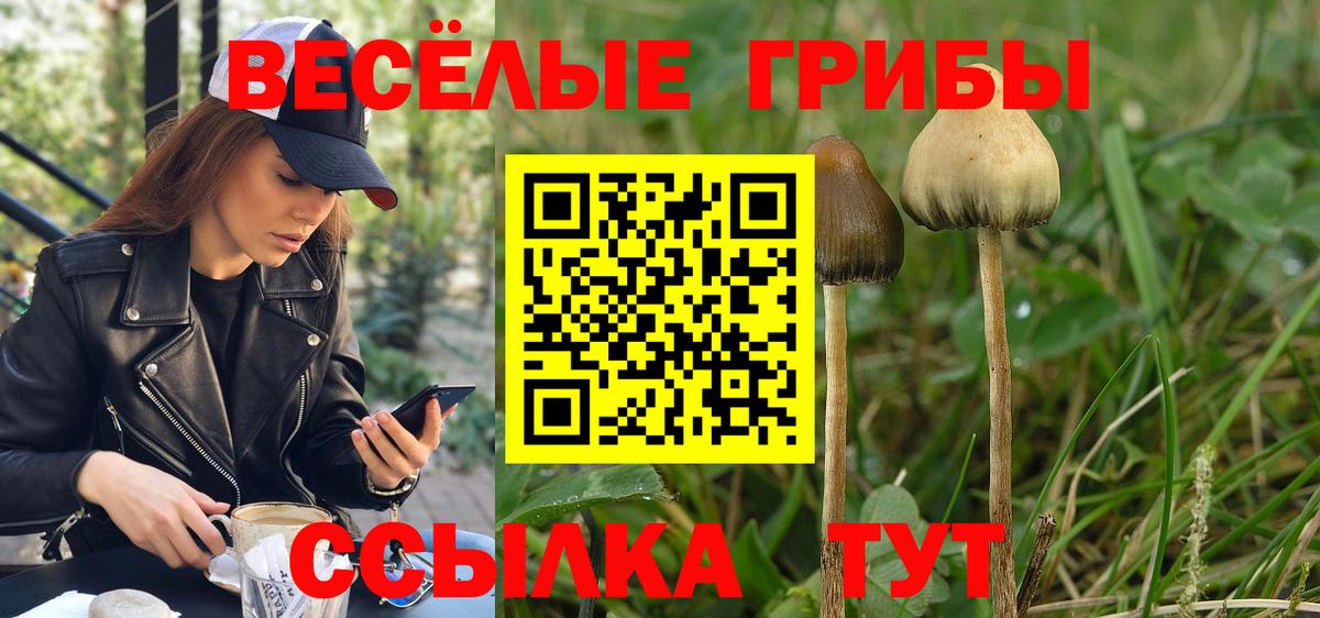 Кемерово  Галлюциногенные грибы Cubensis  где найти наркотики  Галлюциногенные грибы мицелий  Вход с VPN 