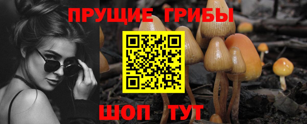 Галлюциногенные грибы ЛСД Кемерово